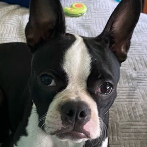 Meet your Posher, Riley